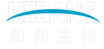 银河在线直营平台(中国)官方网站IOS/安卓通用版/手机APP